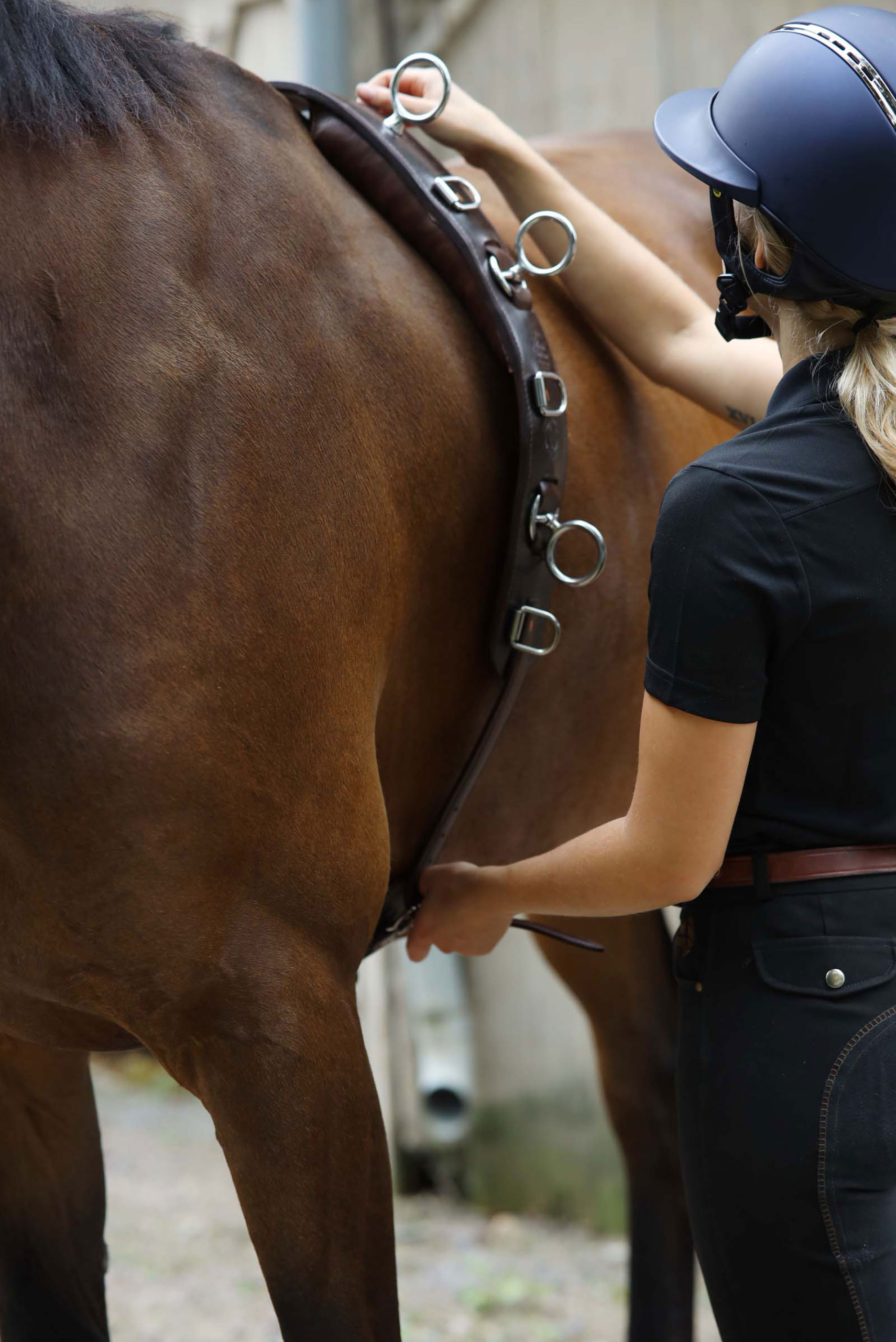 Tärnsjö-Garveri-plattläder